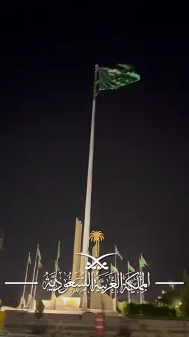 #السعوديه🇸🇦💚 #اكسبلور#اكسبلور #fypシ 