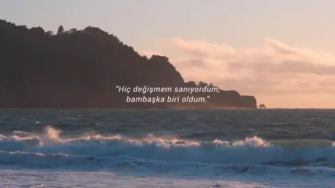 degistirdin