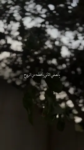 #يانصفي الثاني ياقطعه من الروح#قصيدة_شعر_أبيات 