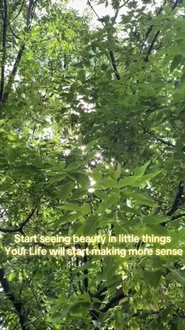 ☀️