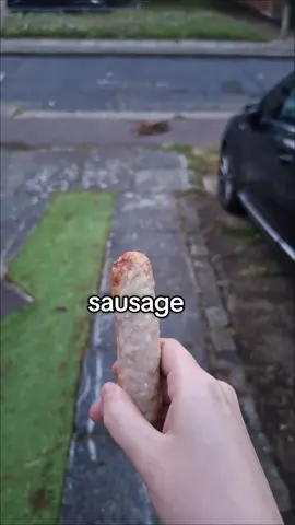 a sausage a day keeps the fox coming back 🫰 #foxes #animals #wildlife #foxesoftiktok #fox #animal #animalsoftiktok 