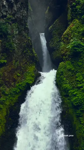 A peaceful moment beside the waterfalls, surrounded by the lush green forests of the Columbia River Gorge. #waterfalls #pacificnorthwest #pnw #beautifuldestinations #waterfalllovers #nature #pnwphotography #pnwexplored 