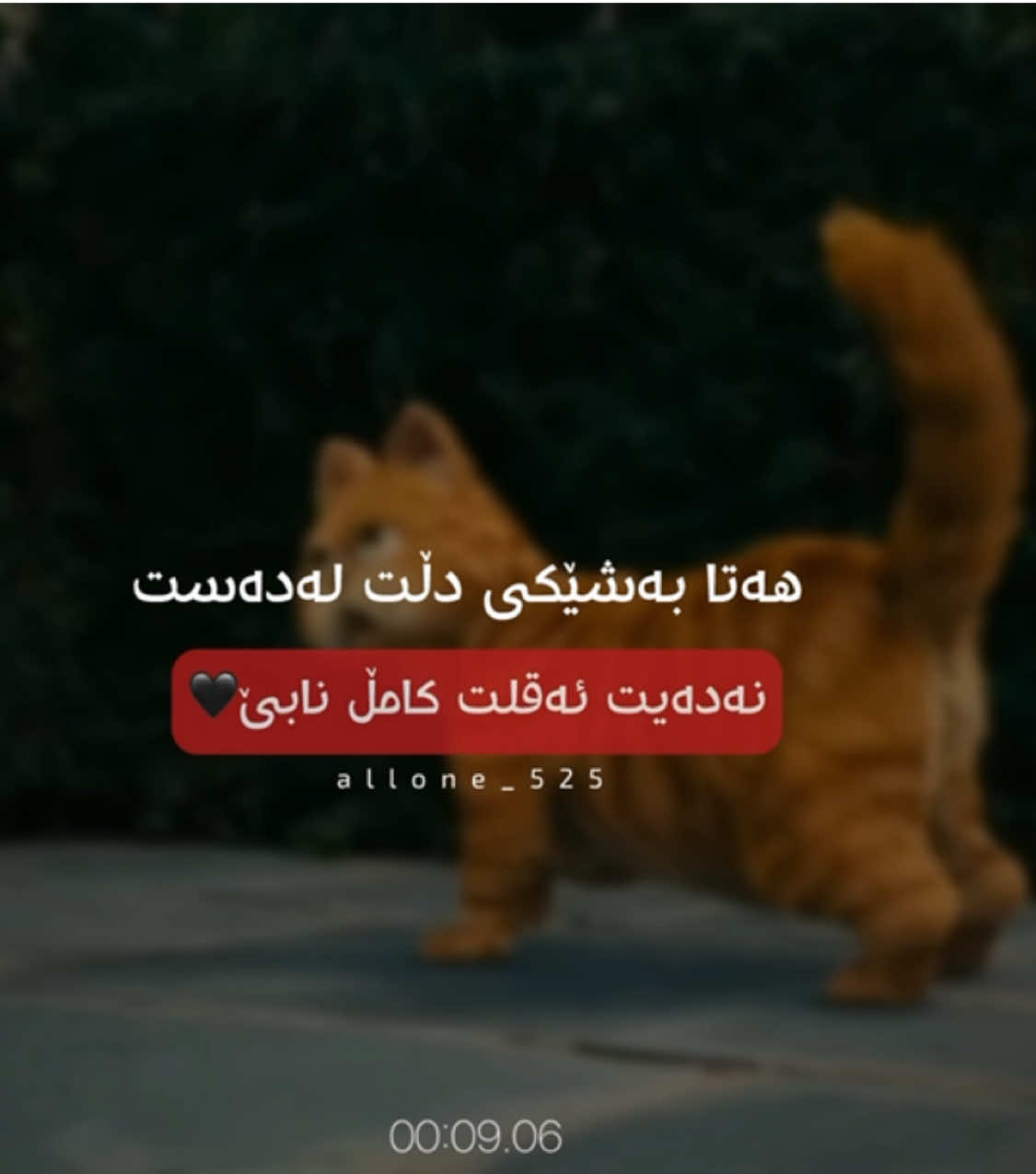 کامڵ نابێ🖤#alone_525 #alonee_525 
