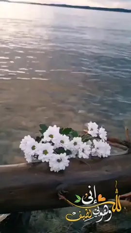 #في هذا اليوم 