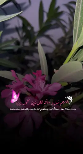 #CapCut #شةوي_هةينية_سةلاوات_لة_بير_مةكةن❤🌹_ #hawler_slemani_dhok_karkuk_hallabja #