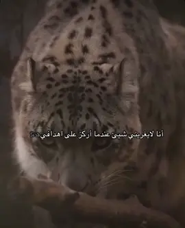 #عبارات_قويه #موسيقى #run #runner #قوة_الشخصية #favorite #اقتباسات #تحفيز #explore #قوه_جباره #fyp 