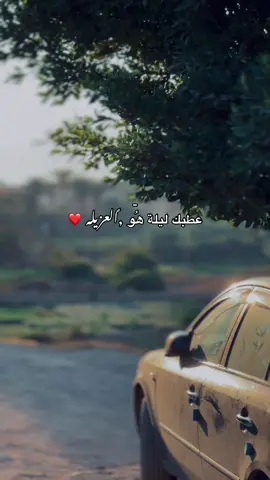 ❤️❤️. #viral_video #foryoupage #mylove #tiktokuni #explore #libya🇱🇾 #Derna 