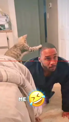 “Funny Talking Pets Compilation” #funnyvideos #animalsoftiktok #voiceover #dogsoftiktok #catsoftiktok #PetsOfTikTok 