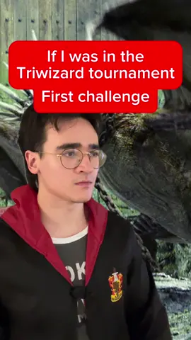 #harrypotter #fyp #funny #harry