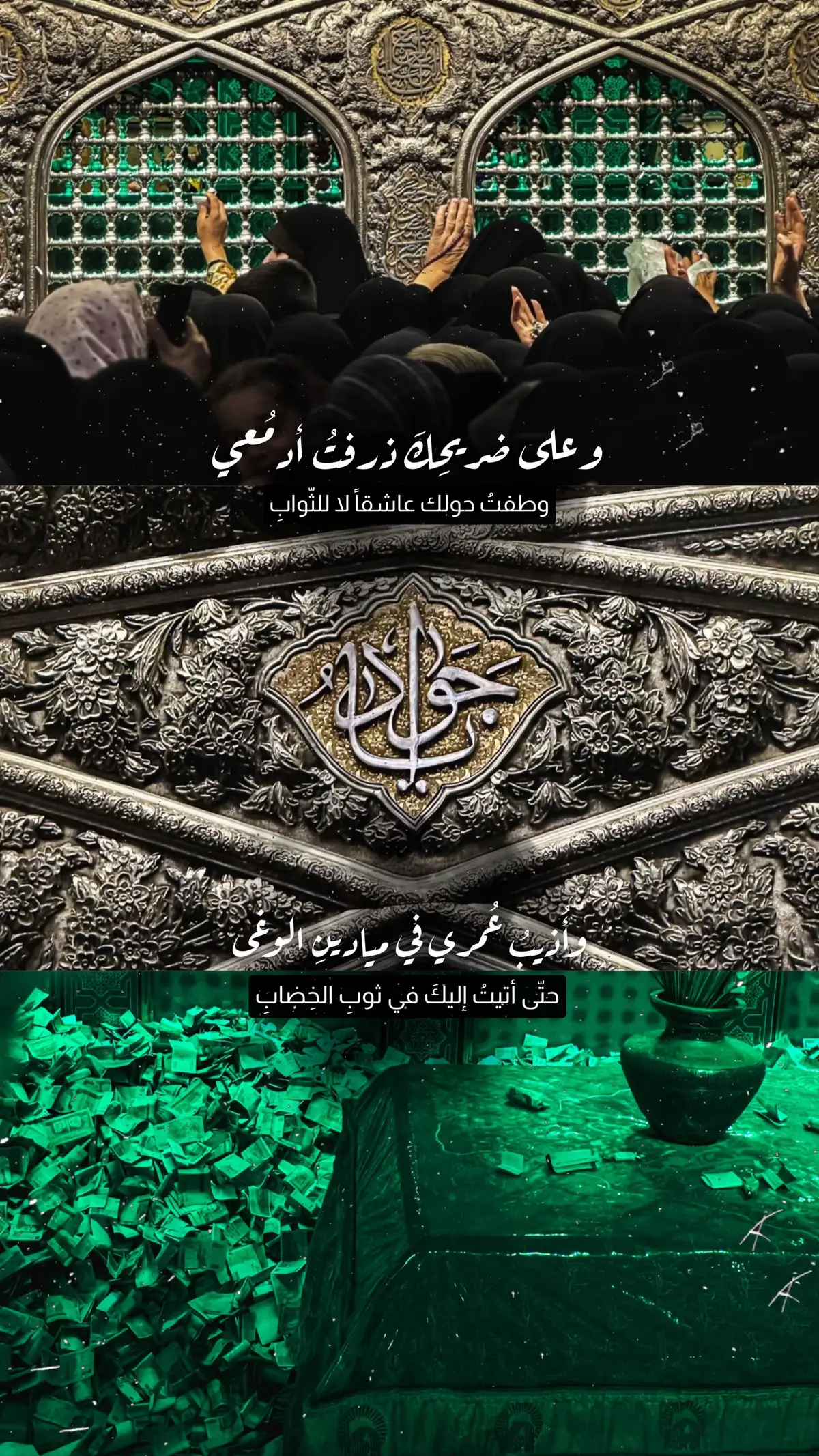 #مشهد_المقدسة #رضا_جان  #خراسان #ضامن_آهو #سلطان_القلوب #انيس_النفوس #رضا_جانم #مشهد_إيران🇮🇷 #ايران🇮🇷 #علي_بن_موسى_الرضا #رضا_جان_از_سلطان_رضا_جان_مشهد #البحرين🇧🇭  #الكويت🇰🇼 #لبنان🇱🇧 #السعودية🇸🇦 #إيران🇮🇷 #العراق🇮🇶❤️ #شيعة_علي_الكرار #شيعة_الامام_علي_عليه_السلام #مالي_خلق_احط_هاشتاقات🦦 #مشهد_المقدسة #خراسان #امام_رضا #الإمام_الرضا #علي_بن_موسى_الرضا #fyp 