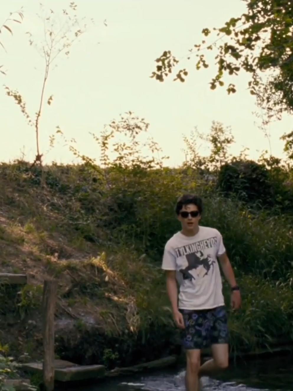 tu l'aimes, non oliver? #callmebyyourname #cmbyn #cmbynaesthetic #timotheechalamet #timotheechalametedit 