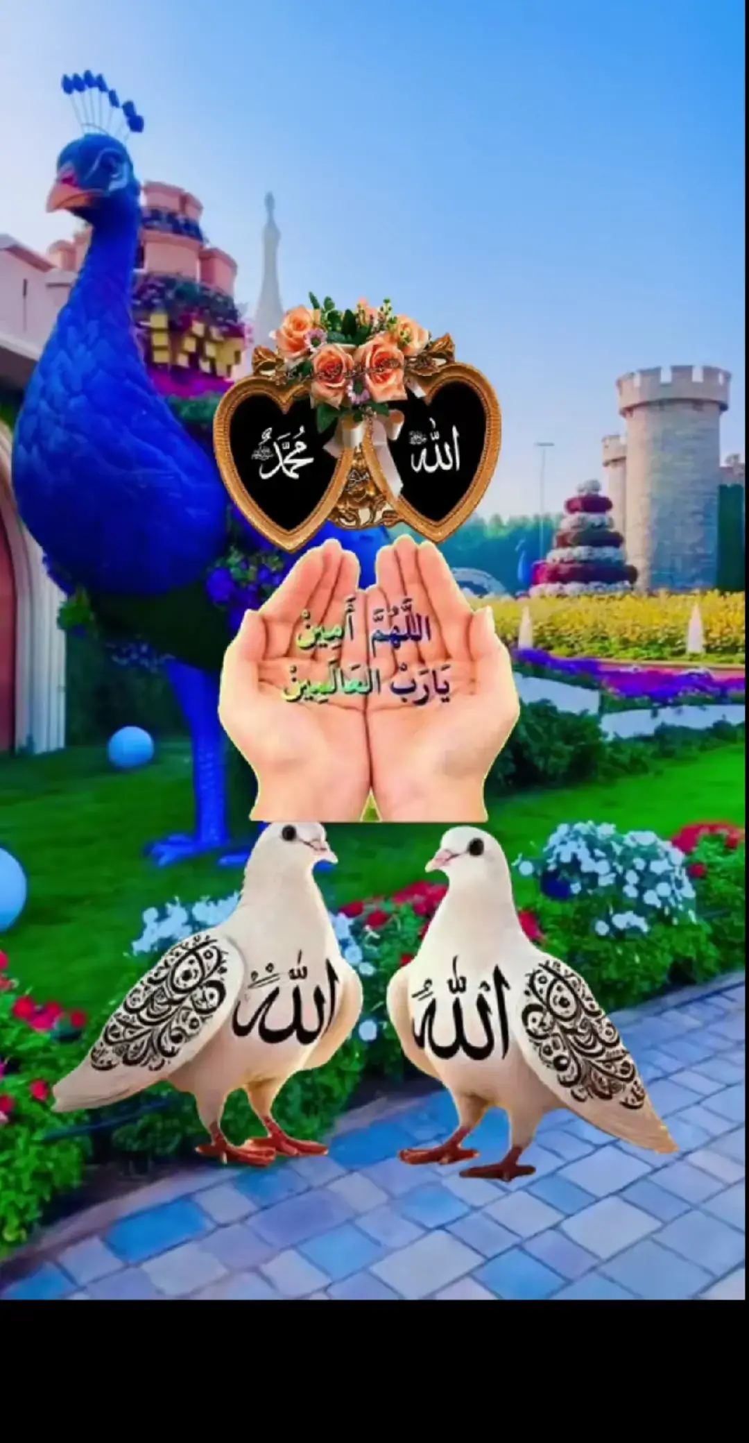 #ق 