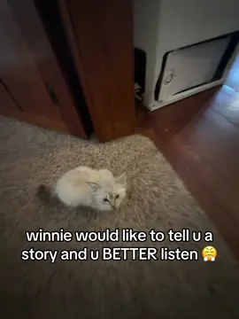 winnie tells a lot of story’s 