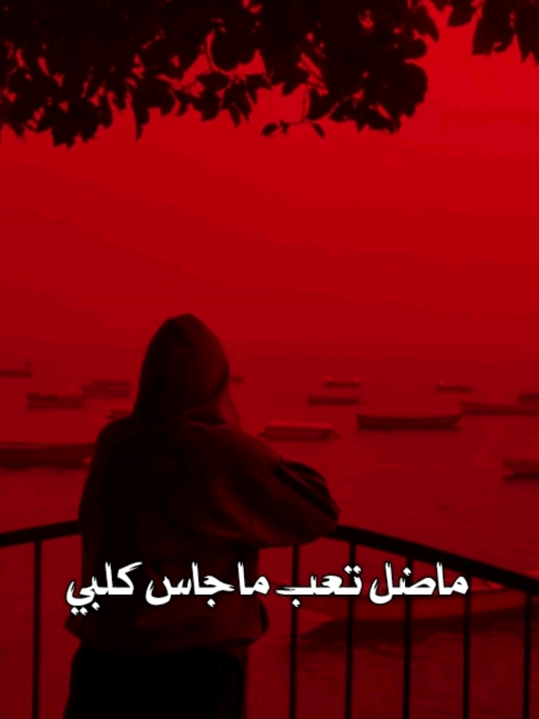 ماضل تعب ما جاس كلبي 💔. #قصائد #حسيني #تصاميم_فيديوهات #fyp #اكسبلورexplore 