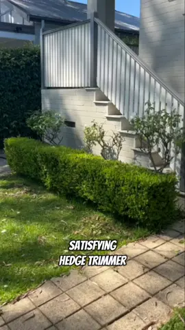 satisfying hedge trimmer  #satisfyingvideo #satisfying #hedgetrimmer #garden #gardening #gardendesign #usa #usa🇺🇸 #usa_tiktok #grasscutting #cleaning 