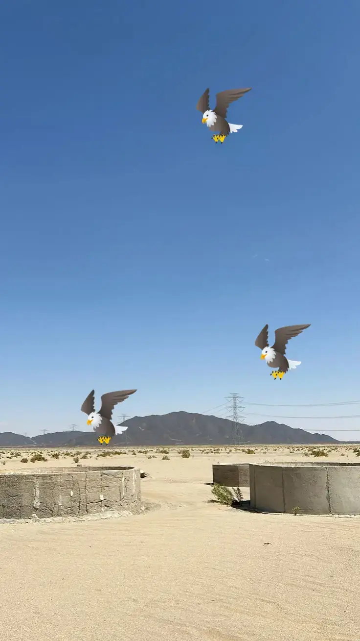 #بسم_الله_الرحمن_الرحيم #🤲🕋🌿🕊 