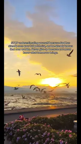 #viral #foryou 