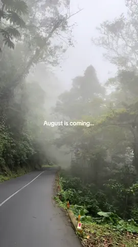 August is coming #fyp #paratiiiiiiiiiiiiiiiiiiiiiiiiiiiiiii #august #taylorswift 