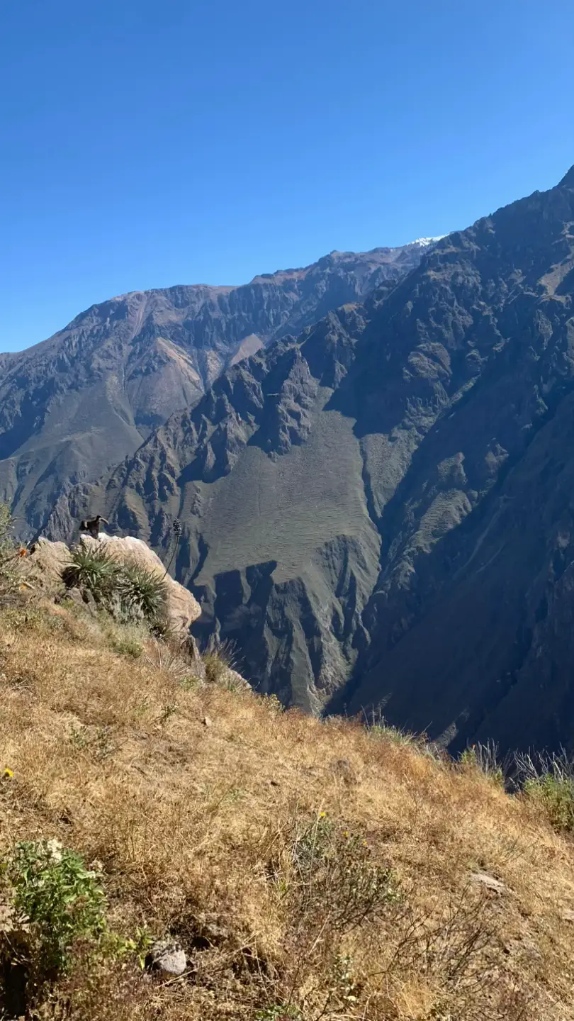 Cañón del colca, Arequipa 📍🇵🇪 #landscape #perú #sky 