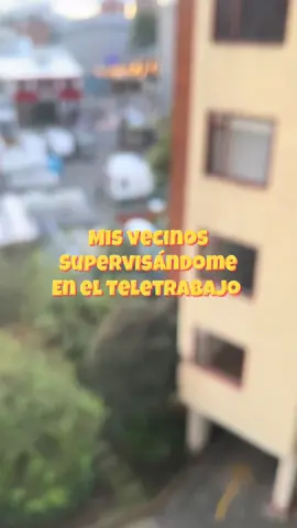 ¿No les pasa que están teletrabajando y les llegan los supervisores? #catsoftiktok #dogsoftiktok 