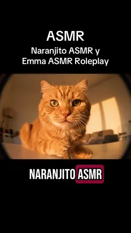 Hoy está en el canal @Emma Asmr Roleplay haciendo sonidos relajantes para dormir. Naranjito y Emma ASMR colaboración 