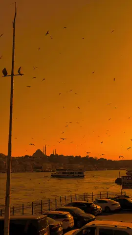 Beautiful background videos for editing <3#sunsetlover 