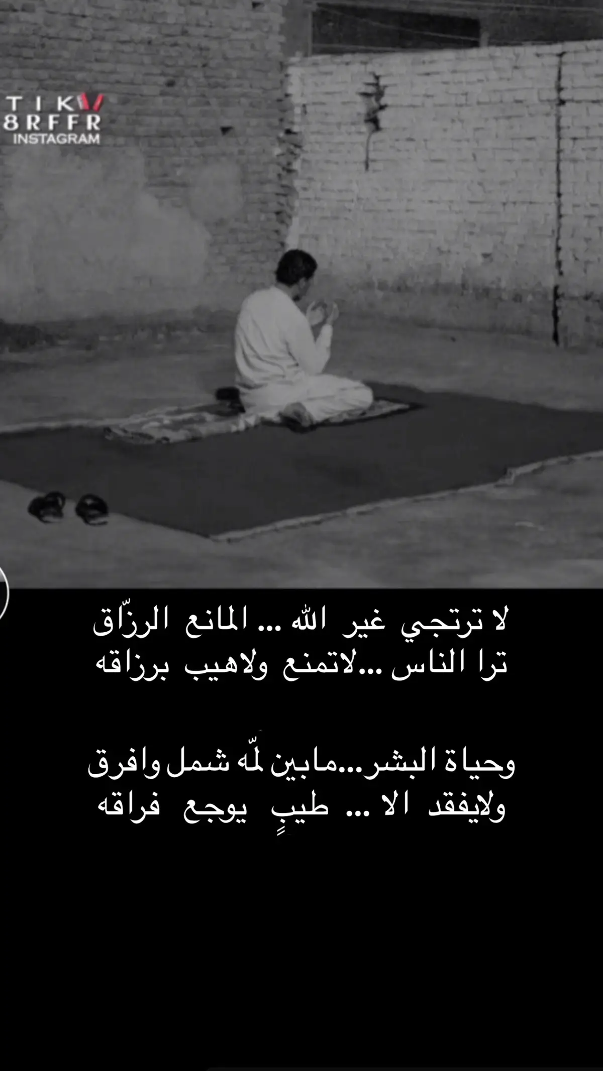 #جزل_الابيات #لشاعرها 