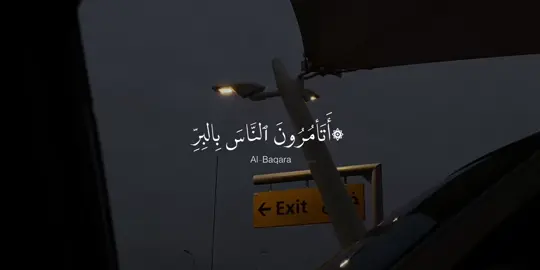 البقرة - #شريف_مصطفى #quranvideo 