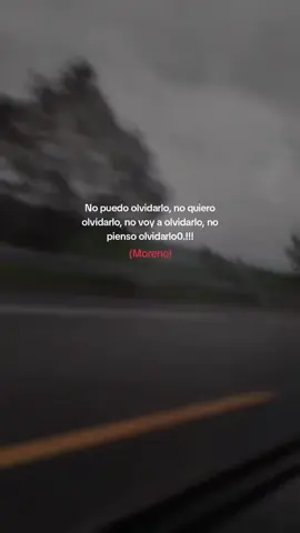 #felinos #morena #Cumbia #fyp #paratiiiiiiiiiiiiiiiiiiiiiiiiiiiiiii #viral 