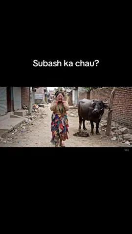 Subash ka chau? #yeti #tiktoknepal🇳🇵 #nepal #nepali #fyp #memes 