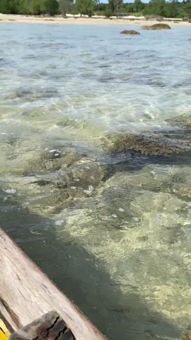 Hidden Gem Pulau Lepar Pongok Airnya Jernih 🥹🥹#fypシ゚viral#bangkaselatan#masukberandafyp#masuk#fypシ゚viral#pantaivibes#pantai 