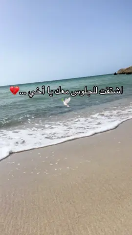 #fyb ❤️‍🩹🕊️رحمك اللّٰه يا أعظم خسائري
