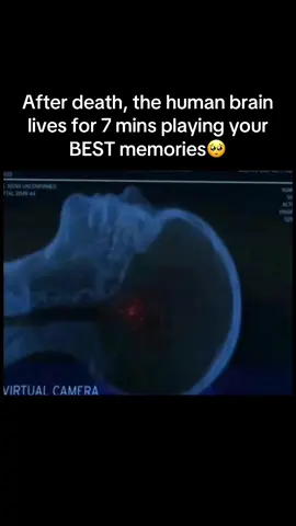 The best of times 😭
