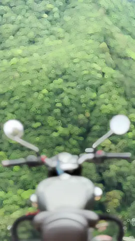 Love for Royalenfield ❤️ #lowkey77 #bullet #classic350 #royalenfieldlover #fypシ #fypシ゚viral #trending #template #CapCut 