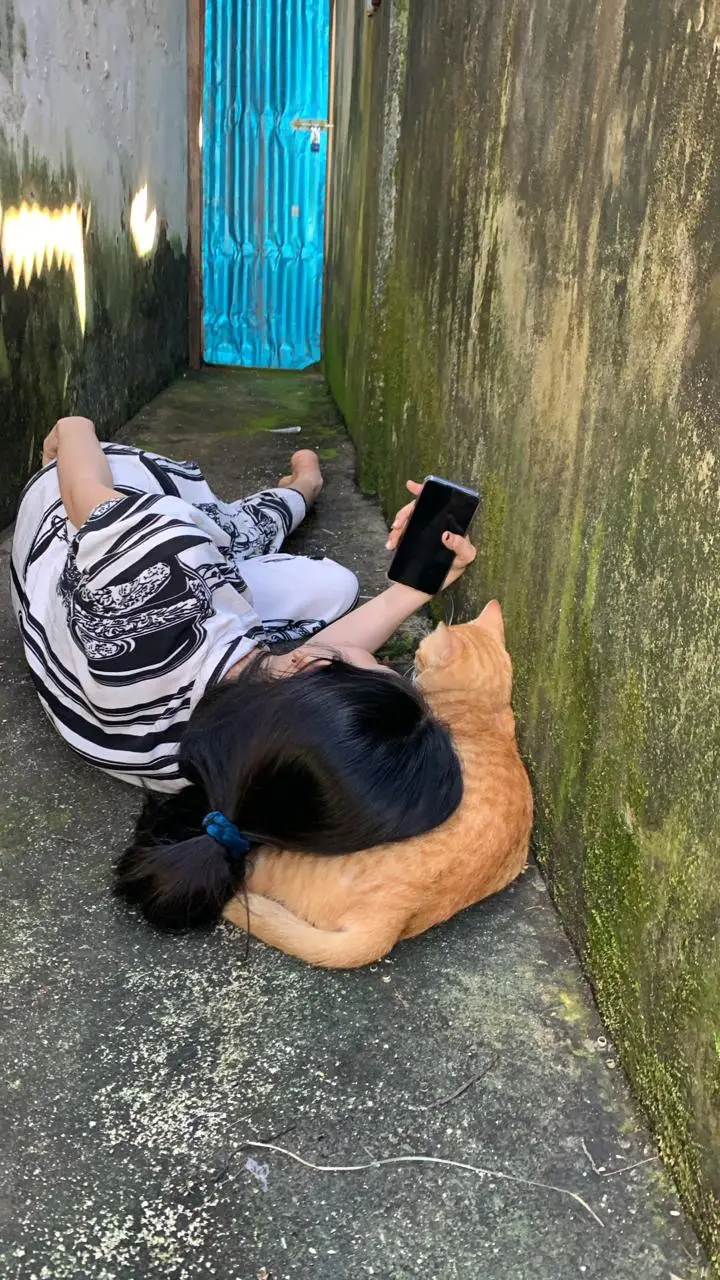 #semuaorangツ #berandafypシ ##catloversindonesia #imut #fypage #kucinglucutiktok #fyppppppppppppppppppppppp #pencintakucing #kucinglucutiktok #cats #pppppppppppppppppppppp #fypシ゚viral🖤tiktok #kucinglucuimut 