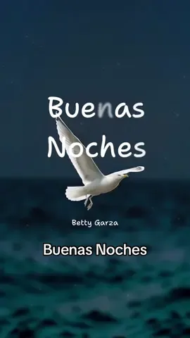 Buenas Noches #buenasnoches #frasesmotivadoras #paratii #paratiiiiiiiiiiiiiiiiiiiiiiiiiiiiiii #reels #reel 