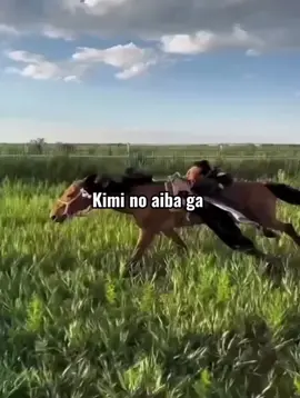 Kimi no aiba ga🗣️🗣️🔥🔥 #umamusume #umamusumeprettyderby #fypage #foryou #fyp 