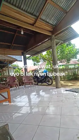 🗿🗿🗿#fyp #rejang #bengkuluutara #tunjang #storywa 