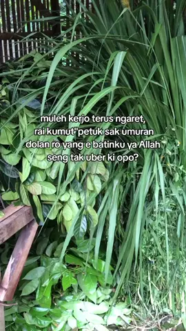 😇#peternak #peternakmuda #masukberandafyp #sobatngaret 