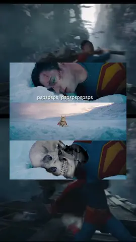 What if Krypto was a cat in Superman?