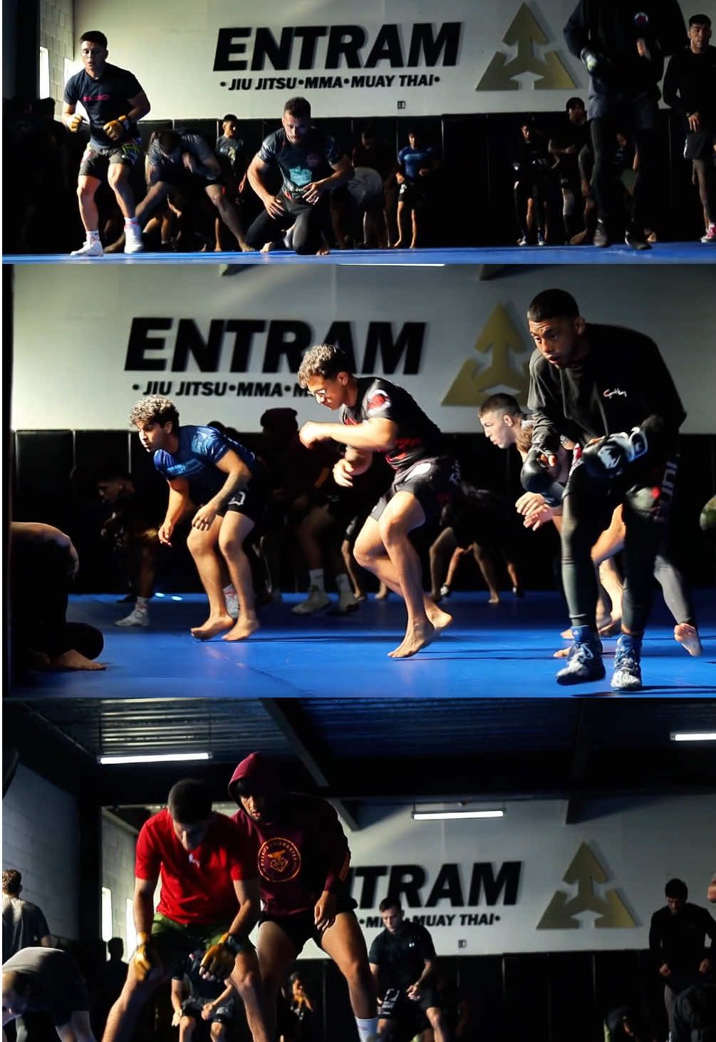 Frames de entrenamiento en #entramgym 💪🏽🔥 #mma #UFC #training #fighters 
