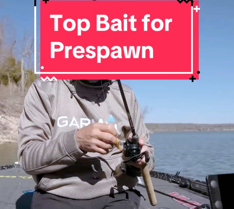 Top Bait for Prespawn