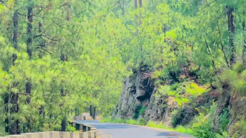 #fypシ゚viral #nakyalajk🇵🇰🇬🇧 #Nakyal 