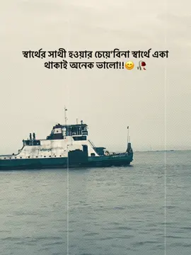 স্বার্থের সাথী হওয়ার চেয়ে’বিনা স্বার্থে একা থাকাই অনেক ভালো!!😊 🥀#CapCut #fyp #viralvideo #trending #bdtiktokofficial #2025 