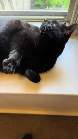 MORE FRANK