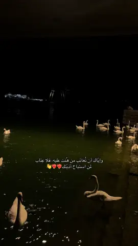 وإيّاك أن تُعاتب من هُنت عليه، فلا عِتاب لمن استباح أذيّتك.