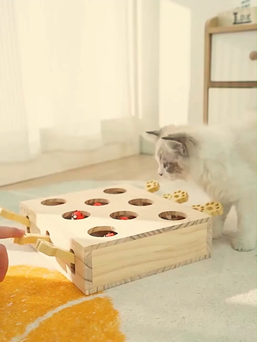 🐾 Whack-a-Mole Cat Toy | Handcrafted Wooden Fun 🌿 Premium solid wood construction: ▸ Interactive mole game design ▸ Satisfies hunting instincts ▸ Smooth hand-polished edges ——Artisan-crafted with: ✓ Traditional wood joinery ✓ Non-toxic natural finish ✓ Kitty-approved durability#wooden #LuxuryWoodwork #CustomFrames #HandmadeArt #PremiumCraft #HomeStyle #GiftIdeas #LuxuryPetBed #WoodenCatHouse #PetLover