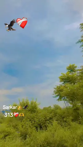 #uku #full #fwp #akorakhattak #🇵🇰💪❣️💕🔥 #unfreezemyacount #foroyuvideo #sarkar#foroyuvideo  313