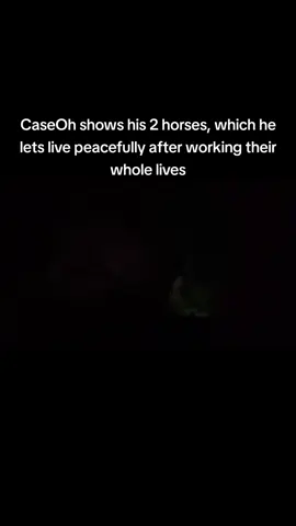 W HORSE OWNER  #foryou #foryoupage #foryourpage #xyzbca #twitch #YouTube #caseoh #caseohgames #caseohclips #caseohfunnymoments #case 