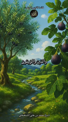 The importance of fig and olive for humans فائدة التين والزيتون في جسم الإنسان…📻مع الشيخ محمد بن علي الشنقيطي 🗣️ . . #islamicquotes #foruyou #fyp #محمد_بن_علي_الشنقيطي #اللهم_صلي_على_نبينا_محمد 